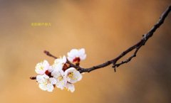 在這春暖花開的季節(jié)，歡迎你們加入知道網(wǎng)絡