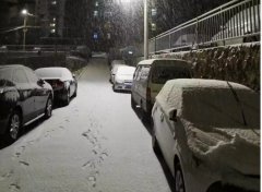 青島！大雪！大愛！
